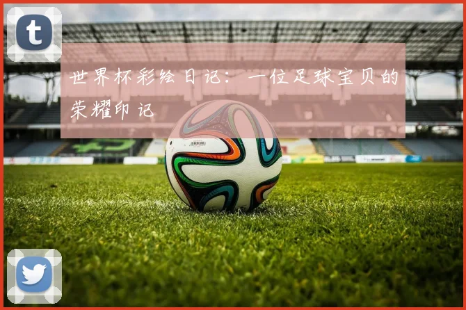 世界杯彩绘日记:一位足球宝贝的荣耀印记