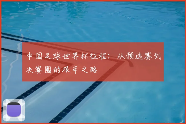 中国足球世界杯征程：从预选赛到决赛圈的艰辛之路