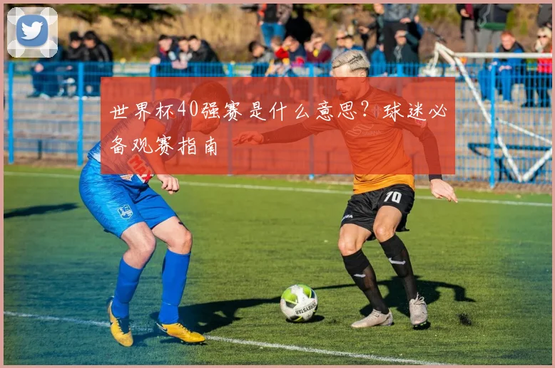 世界杯40强赛是什么意思？球迷必备观赛指南
